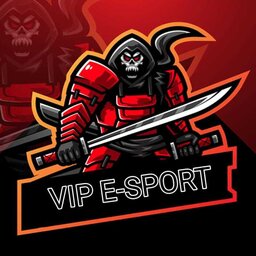 VIP ESPORTS