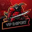 VIP ESPORTS