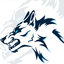 Frozen Wolves eSport