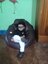 JANNAT_786