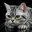 Whiskas