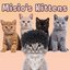 Misio's Kittens (was deleted at: 2024-04-08T18:27:30.1168072Z)