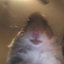 LittleGlizzy6