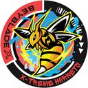 X-Treme Hornets
