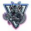 Valhalla Team Br
