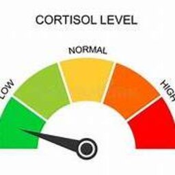 balerioncortisol