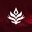 Otakar Esports