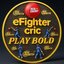 EFighter 
