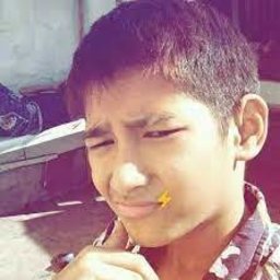 Kaliif