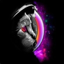 In_FlameLulz