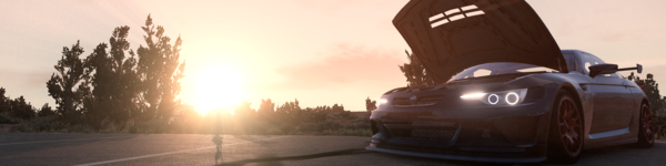 Banner