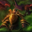 DarkForrest