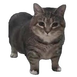 zensom