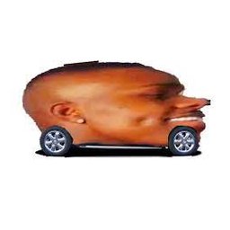ratto505