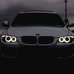 NatusVincereelectronic#3831