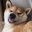 hiddey-