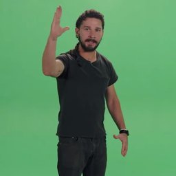 Shia LaBeouf