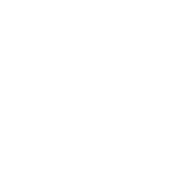 Xynapse Esports