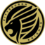 Pittsburgh Knights