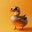 DUCK lOl