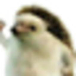 Mišák201