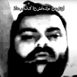 SadeceEfe