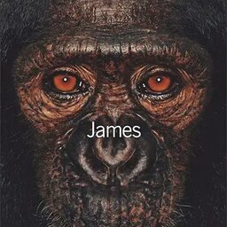 spitfirecs