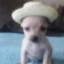 fan clube da mandinha (was deleted at: 2022-10-24T18:57:02.8632535Z)
