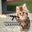 confidence-