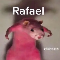 SebastianChorobinski