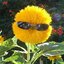 SnRise (was deleted at: 2024-11-19T16:35:05.9029930Z)