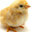 Nokia (was deleted at: 2018-03-07T08:34:20.9820682Z)