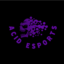 Aicd Esports (was deleted at: 2023-06-22T22:35:39.0244682Z)