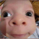 Hungry’s Food Fight