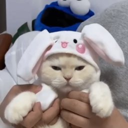 hatev9