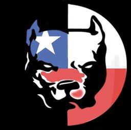 Daniel bastos barros