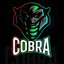 E-Sport CobraTeam (was deleted at: 2024-10-12T19:42:46.7634603Z)