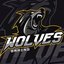 The Wolves Gaming (was deleted at: 2019-06-30T15:08:28.0625797Z)