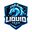 LIQUID TEAM