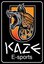 KAZE E-sports (was deleted at: 2023-08-24T20:45:01.5539814Z)