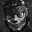 KAT TF e EKKO#Numb