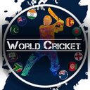 Work cricket classic board