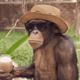 GodMonkey