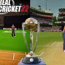 Cricket 23 Tournaments