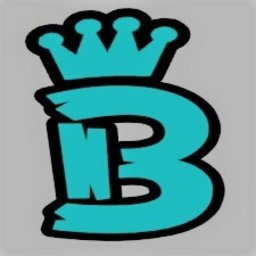 berkaysevgen