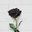BlackROse_