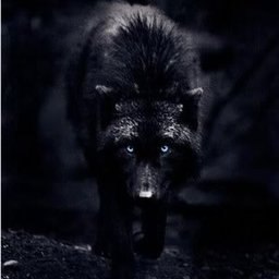 Vex