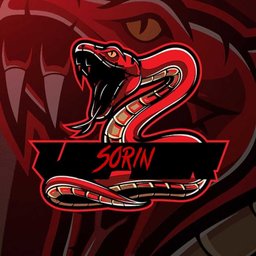 Sorin1234