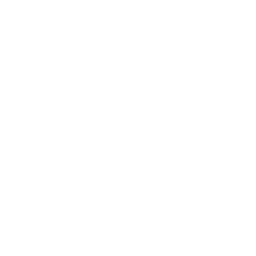 H1do