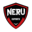 Neru Esports Club